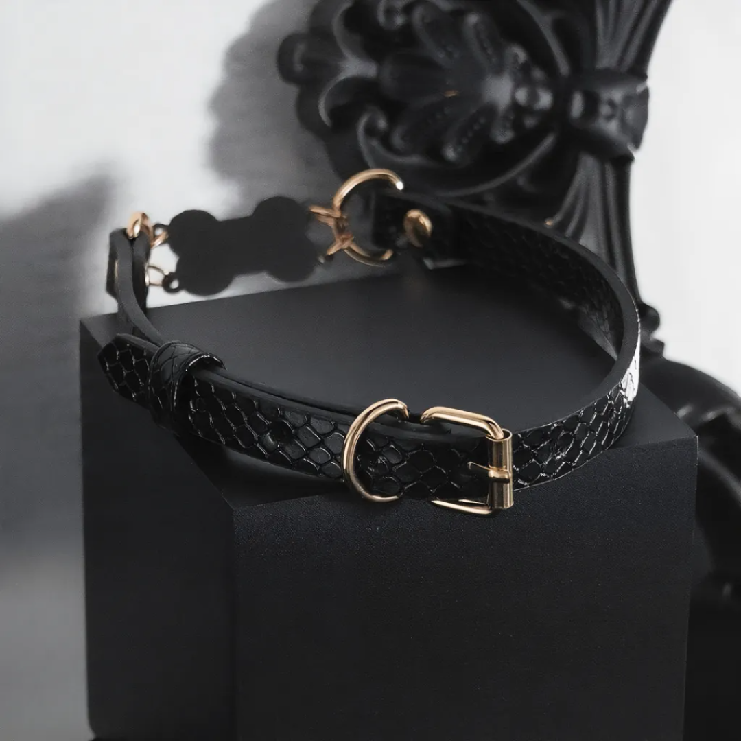 Black Puppy Bone Choker Collar Necklace